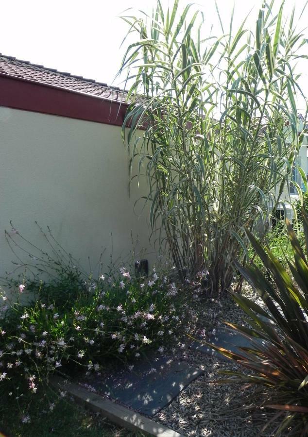 La clé de vos Rêves Acomodação com café da manhã Orthevielle Exterior foto
